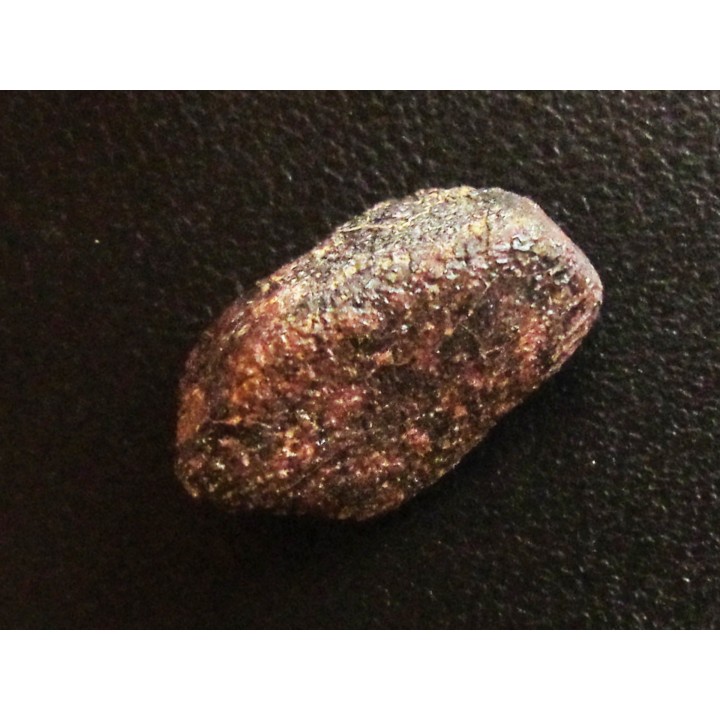 METEORITE CAMEL DONGA
