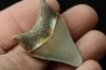 CARCHARODON MEGALODON - Miocene - Faluns de Touraine, FRANCE