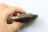 RARE USSURITES sp. - Norien (TRIAS) - Bobonaro Scaly Clay - Noe Bihati - TIMOR - INDONESIE