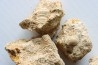 Unprepared: set of 5 pieces (gastéropodes et ammonites) - bajocian - Normandy - France