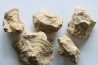 lot de 5 pieces: (gastéropodes et ammonites) à dégager - bajocien - Normandie