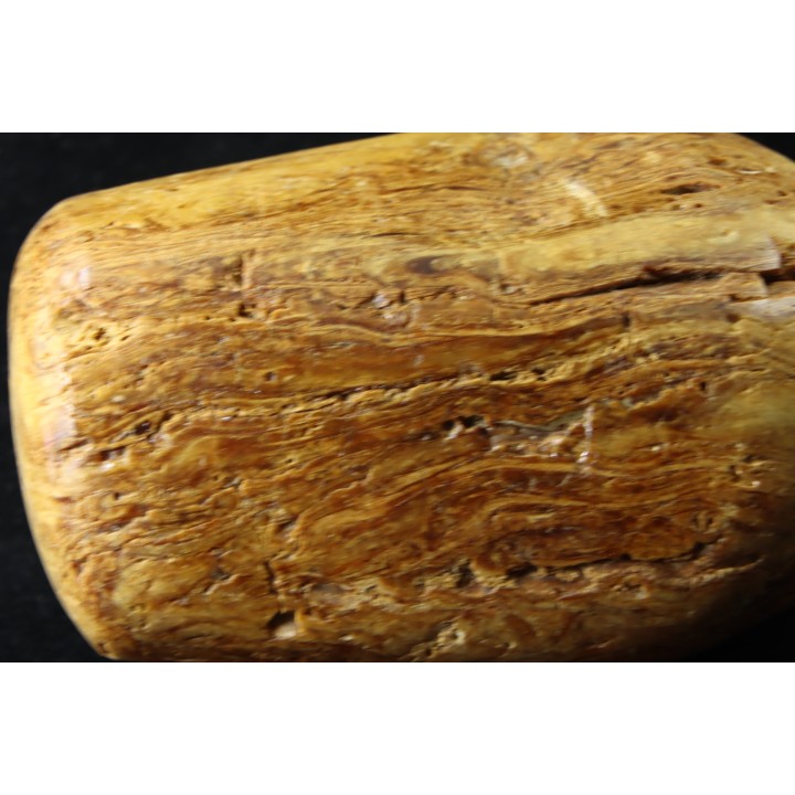 CRETACEOUS AMBER FROM ARCHINGEAY - FRANCE
