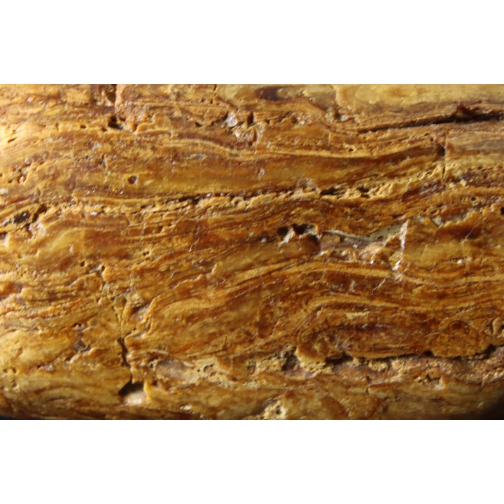 CRETACEOUS AMBER FROM ARCHINGEAY - FRANCE