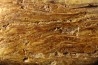 gros morceau d' AMBRE fossile polie - 178 grammes - cénomanien - Archingeay, Rochefort - FRANCE