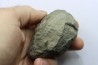 Nodule d'HOPLITE à dégager - albien moyen - ancienne carrière Courcelles - Aube - France