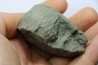 Unprepared Hoplite -  - albian - old quarry Courcelles - Aube - France