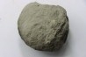 Nodule d'HOPLITE à dégager - albien moyen - ancienne carrière Courcelles - Aube - France