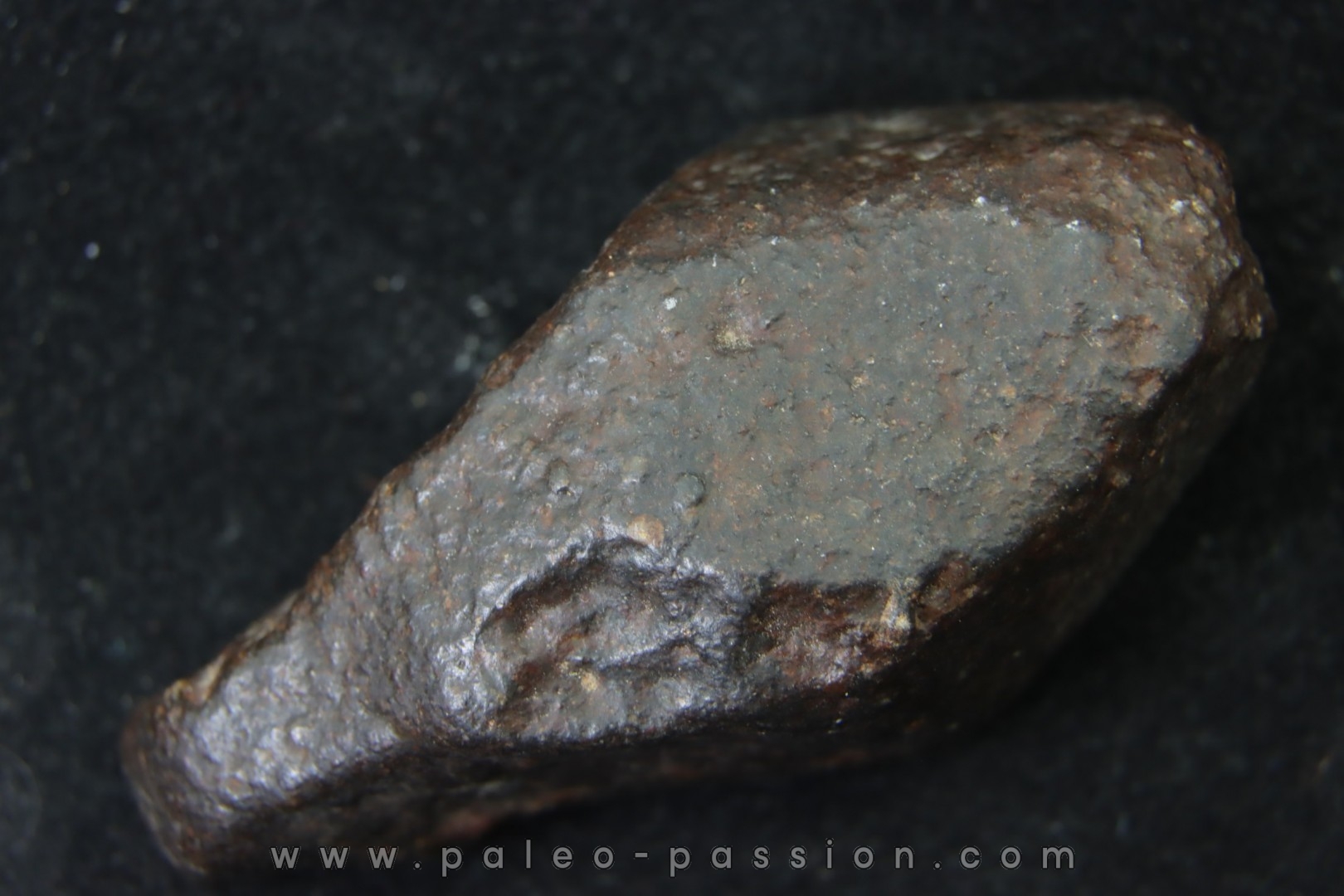 Météorite: CHONDRITE Ordinaire NWA