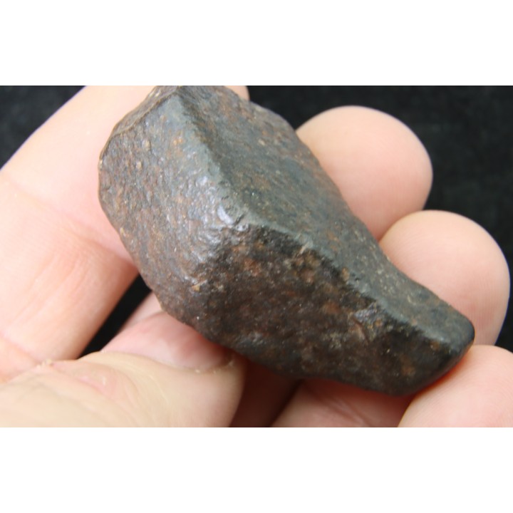 Météorite: CHONDRITE Ordinaire NWA
