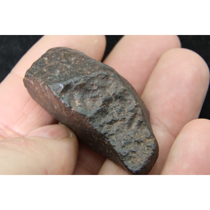 Météorite: CHONDRITE Ordinaire NWA