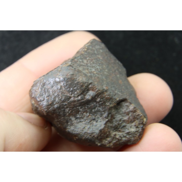 METEORITE  Ordinary chondrite NWA