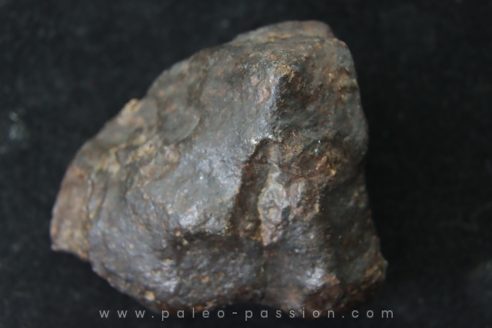 METEORITE Ordinary chondrite NWA