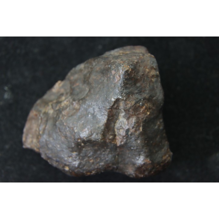 Météorite: CHONDRITE Ordinaire NWA