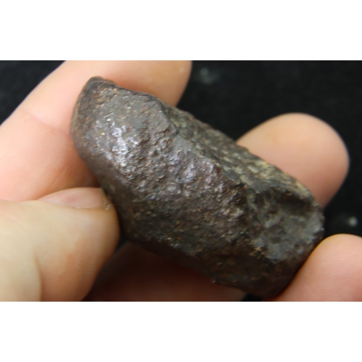 Météorite: CHONDRITE Ordinaire NWA