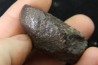 Météorite: CHONDRITE Ordinaire NWA