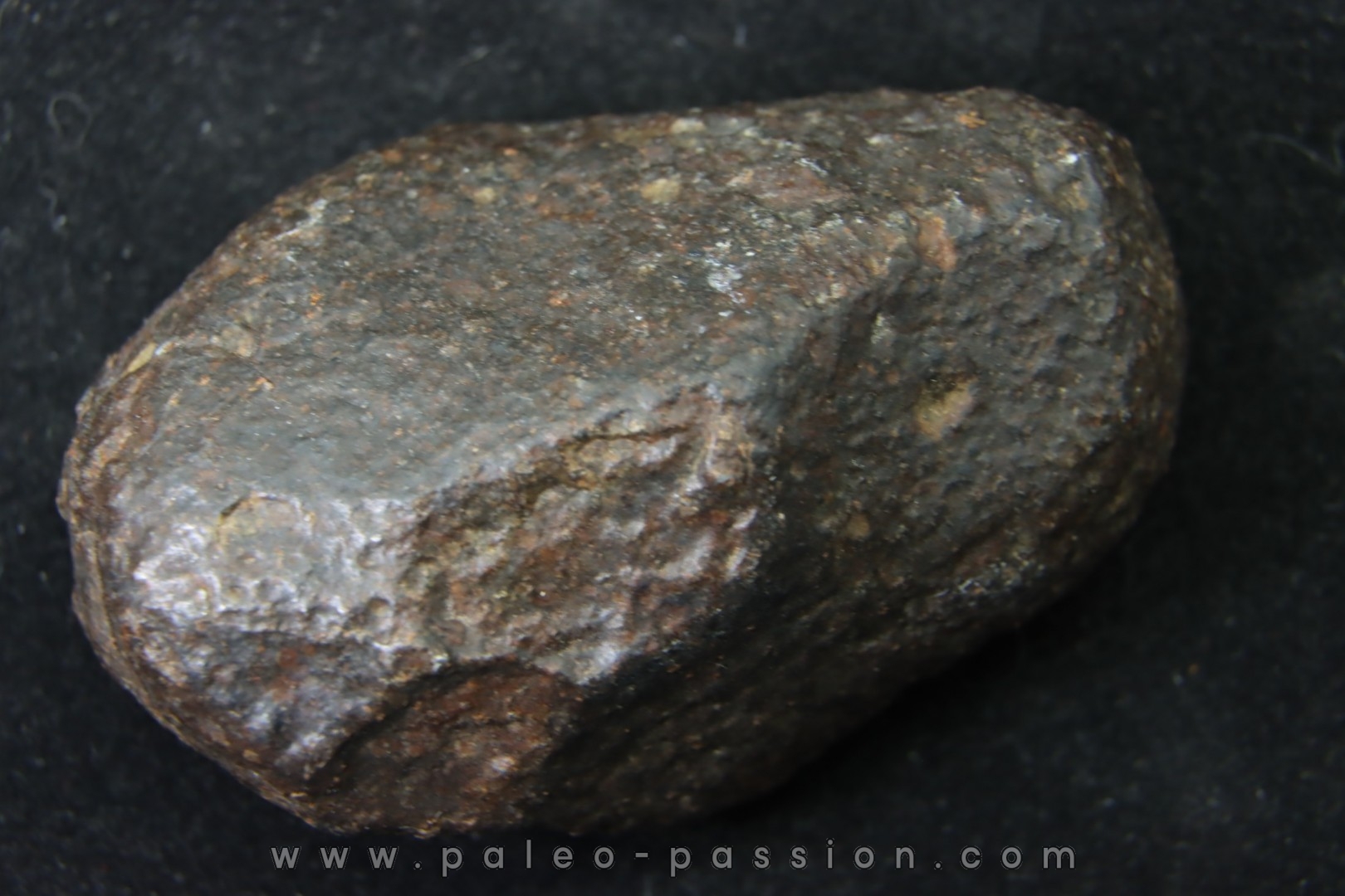 METEORITE Ordinary chondrite NWA