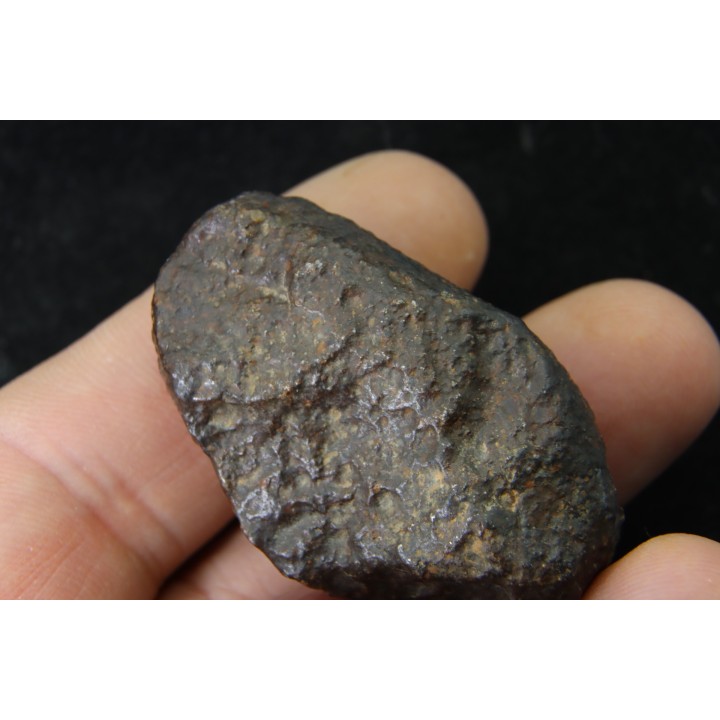 Météorite: CHONDRITE Ordinaire NWA
