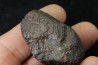 Météorite: CHONDRITE Ordinaire NWA