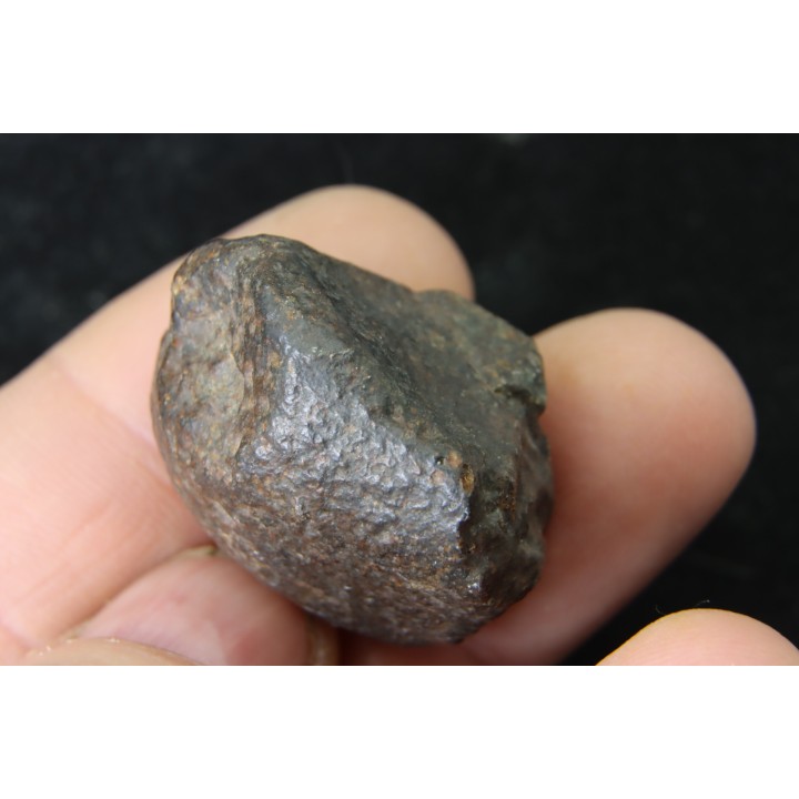 METEORITE  Ordinary chondrite NWA