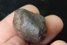 METEORITE Ordinary chondrite NWA