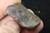 Météorite: CHONDRITE Ordinaire NWA