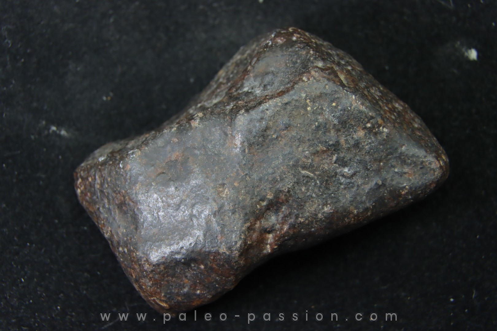METEORITE Ordinary chondrite NWA