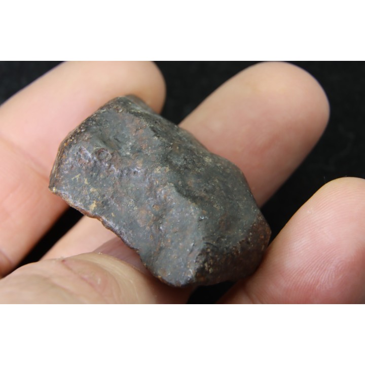 Météorite: CHONDRITE Ordinaire NWA