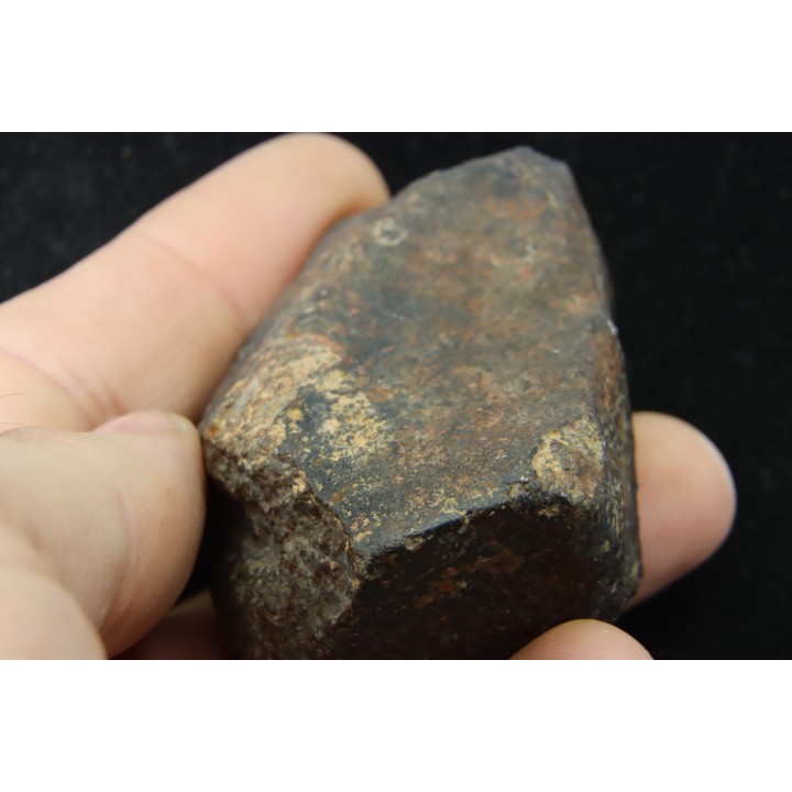 METEORITE  Ordinary chondrite NWA