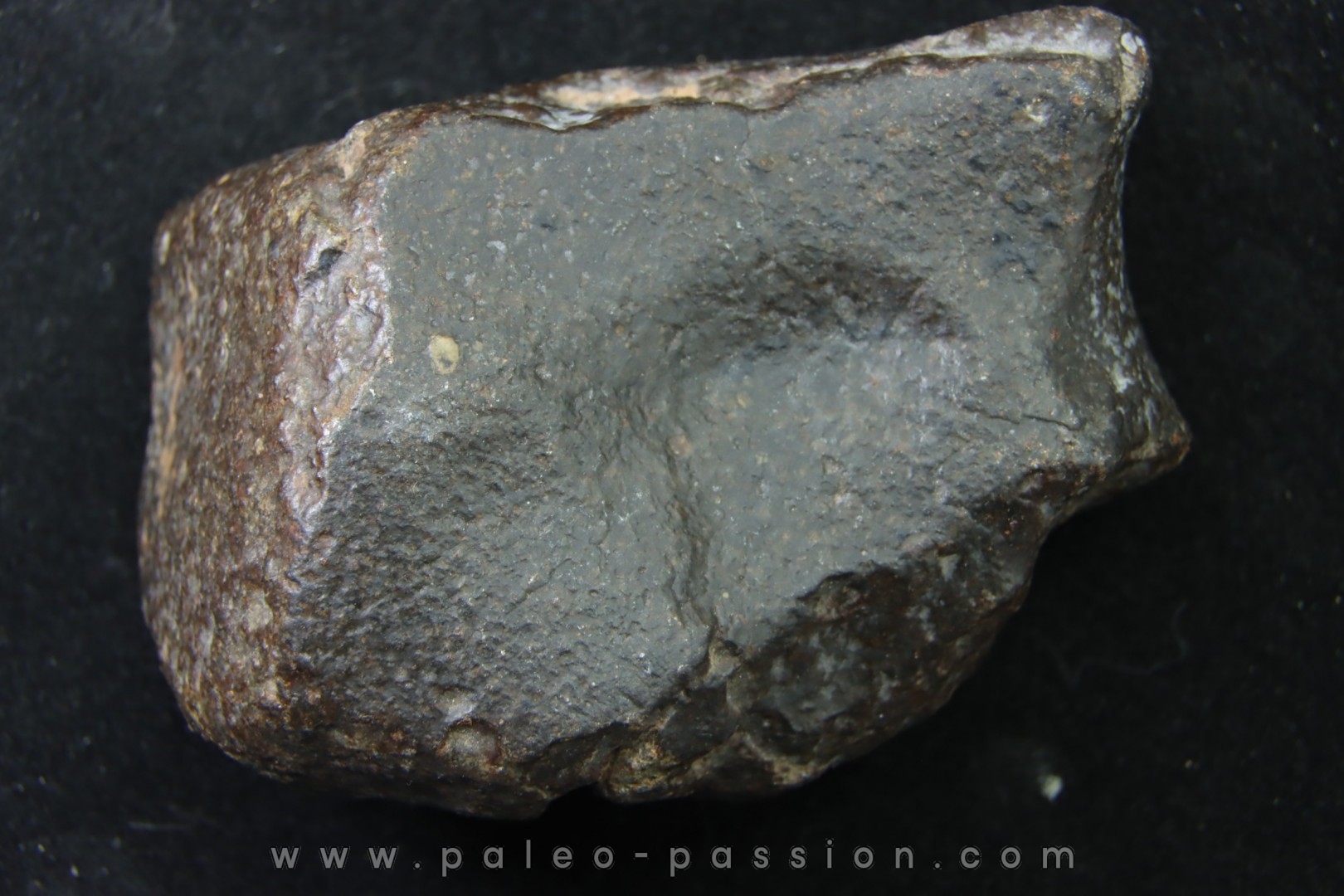 METEORITE Ordinary chondrite NWA