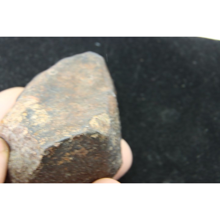 Météorite: CHONDRITE Ordinaire NWA