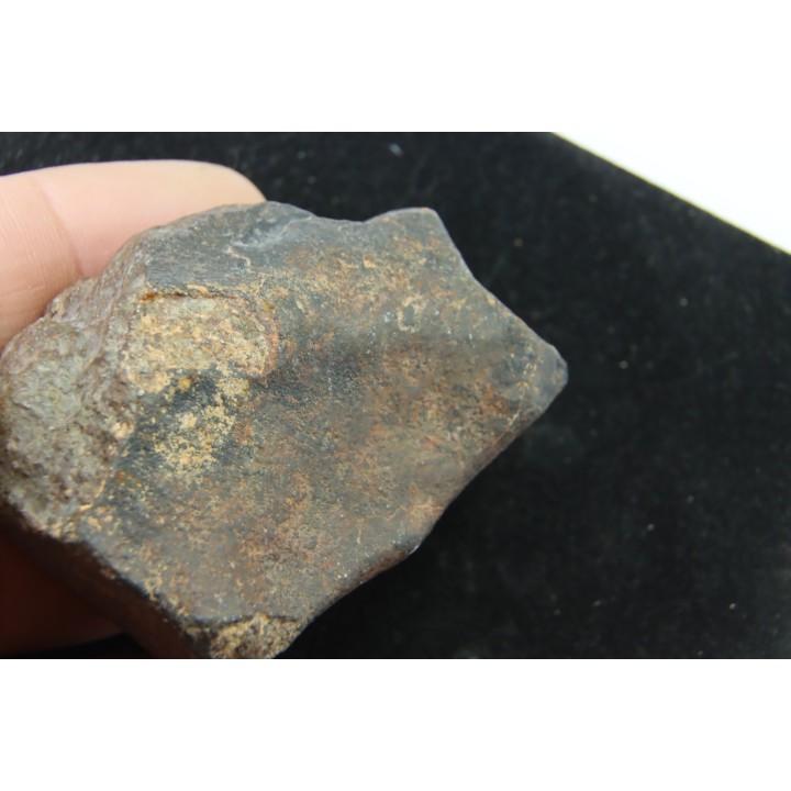 METEORITE  Ordinary chondrite NWA