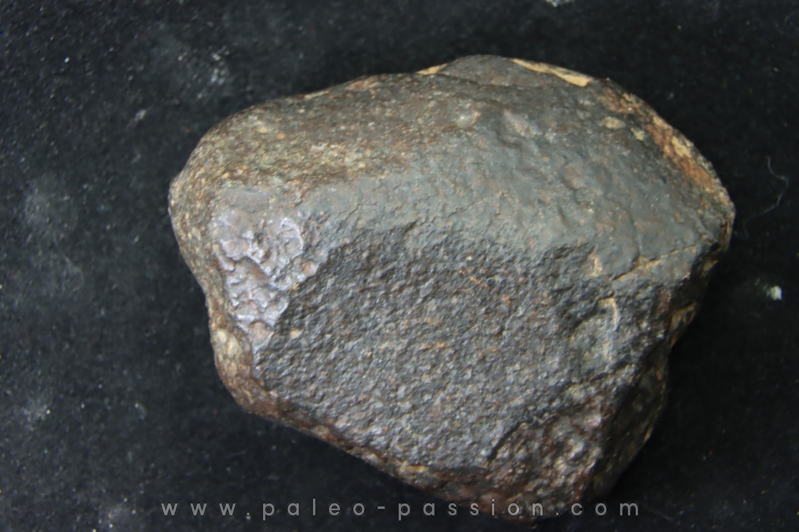 METEORITE Ordinary chondrite NWA
