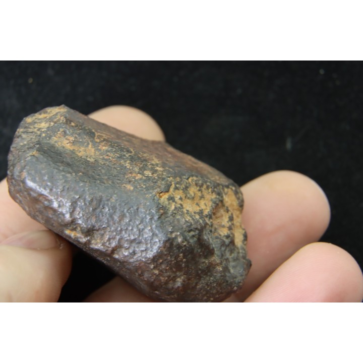 Météorite: CHONDRITE Ordinaire NWA