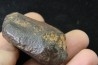 Météorite: CHONDRITE Ordinaire NWA
