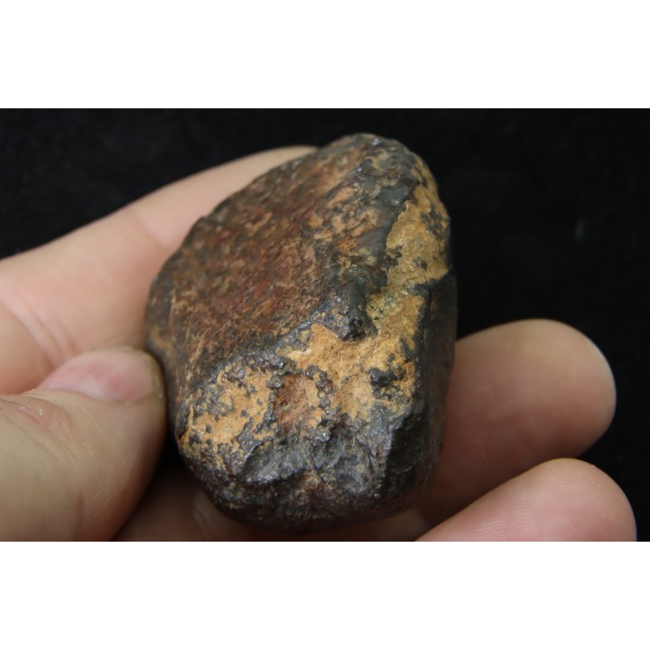 Météorite: CHONDRITE Ordinaire NWA