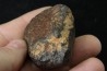 Météorite: CHONDRITE Ordinaire NWA