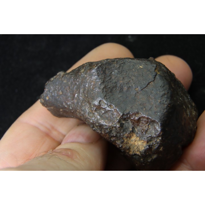 Météorite: CHONDRITE Ordinaire NWA