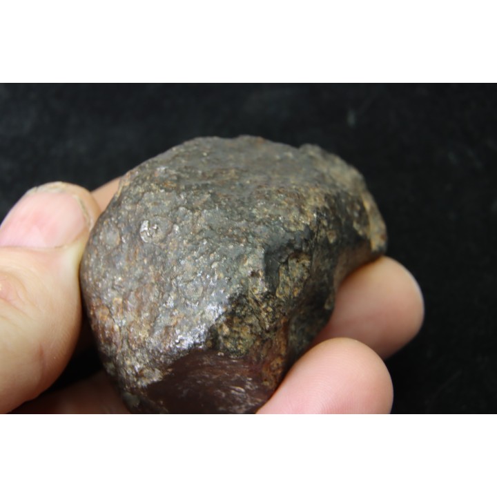 METEORITE  Ordinary chondrite NWA