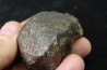 METEORITE Ordinary chondrite NWA