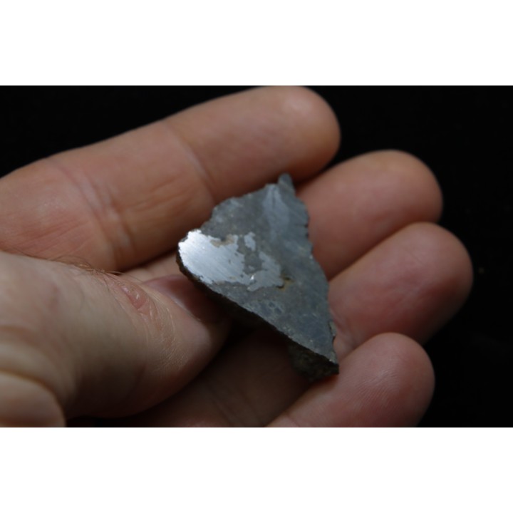 Météorite: Mesosiderite-A3/4 -ESTHERVILLE