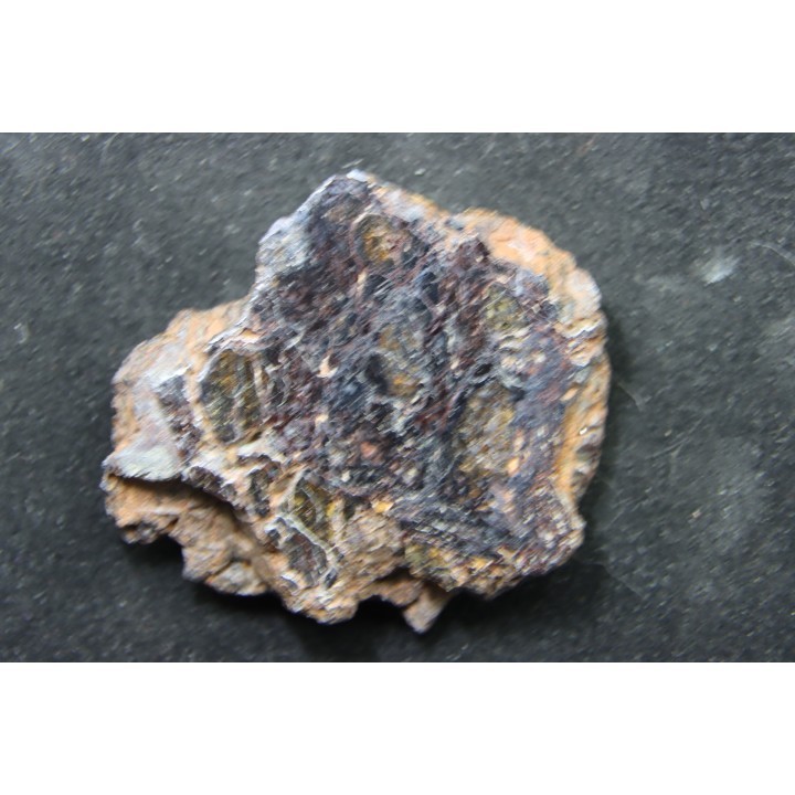 Météorite: PALLASITE  PMG-an - HUCKITTA
