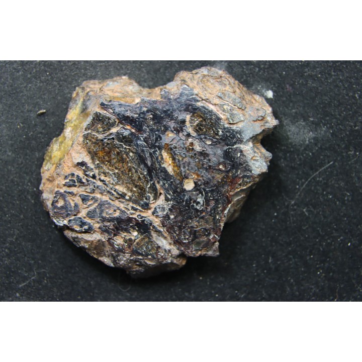 Météorite: PALLASITE  PMG-an - HUCKITTA