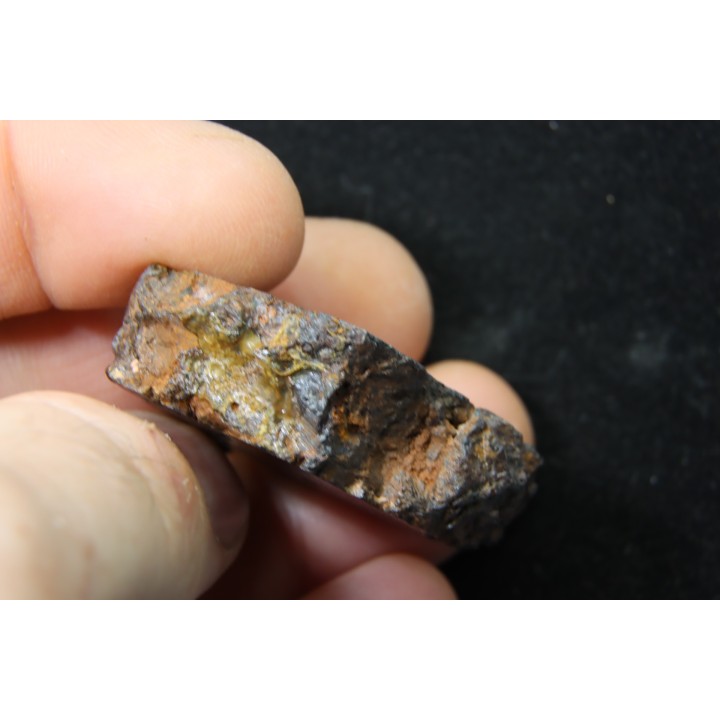 Météorite: PALLASITE  PMG-an - HUCKITTA