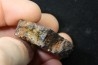 Météorite: PALLASITE PMG-an - HUCKITTA