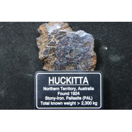 Météorite: PALLASITE  PMG-an - HUCKITTA
