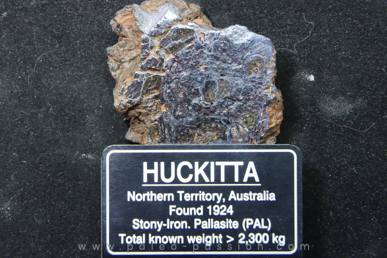 Météorite: PALLASITE PMG-an - HUCKITTA