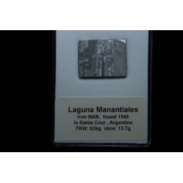Météorite:  SIDERITE iron IIIAB - LAGUNA MANANTIALES