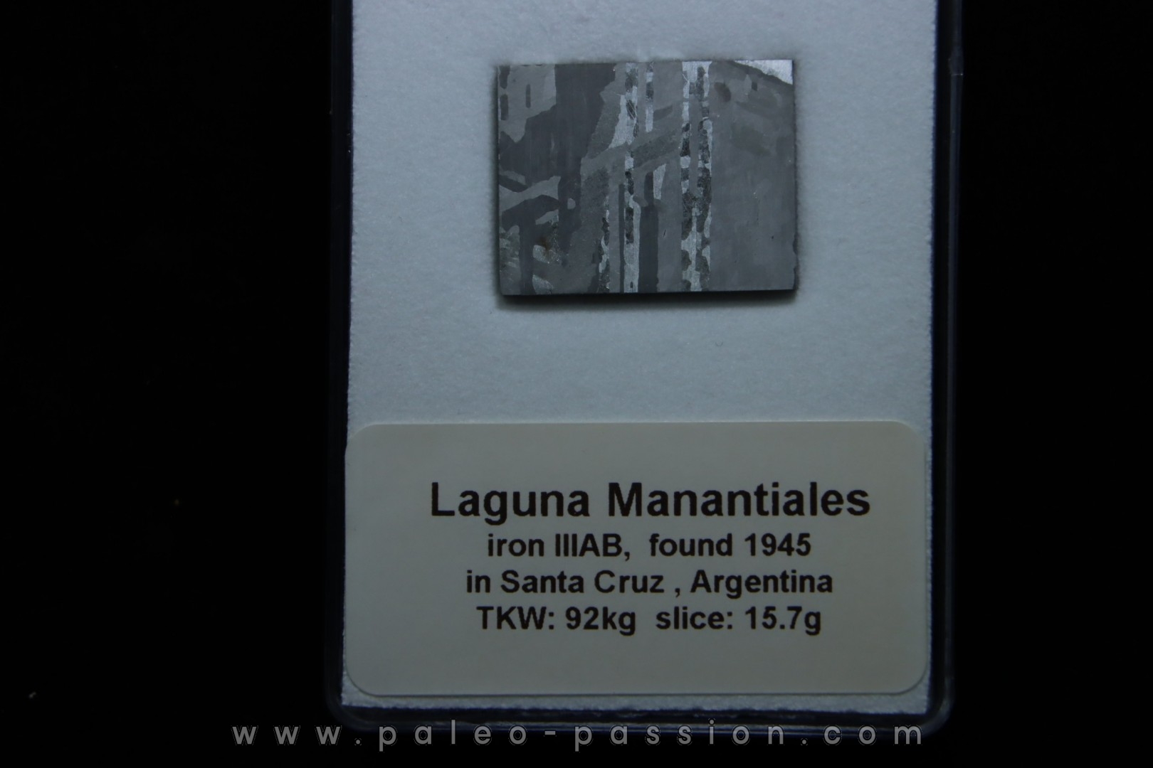 Météorite: SIDERITE iron IIIAB - LAGUNA MANANTIALES