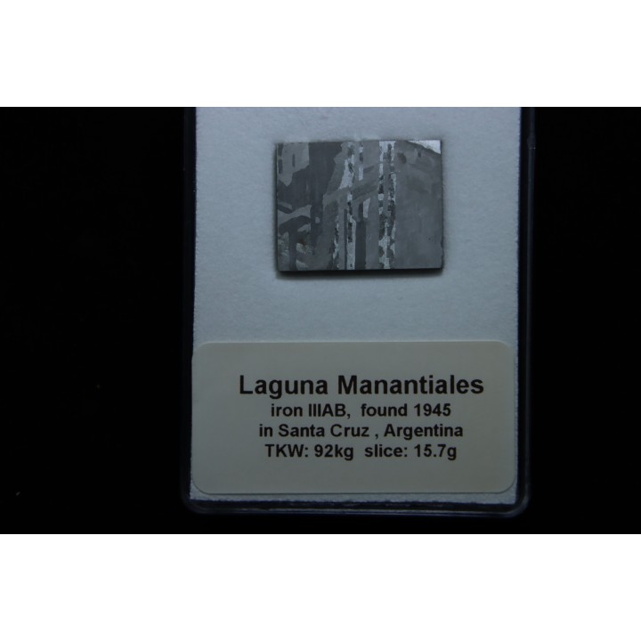 Météorite: SIDERITE iron IIIAB - LAGUNA MANANTIALES