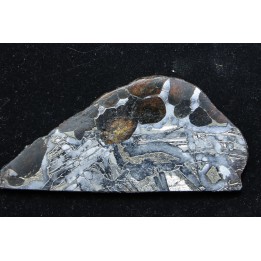 METEORITE - pallasite SEYMCHAN